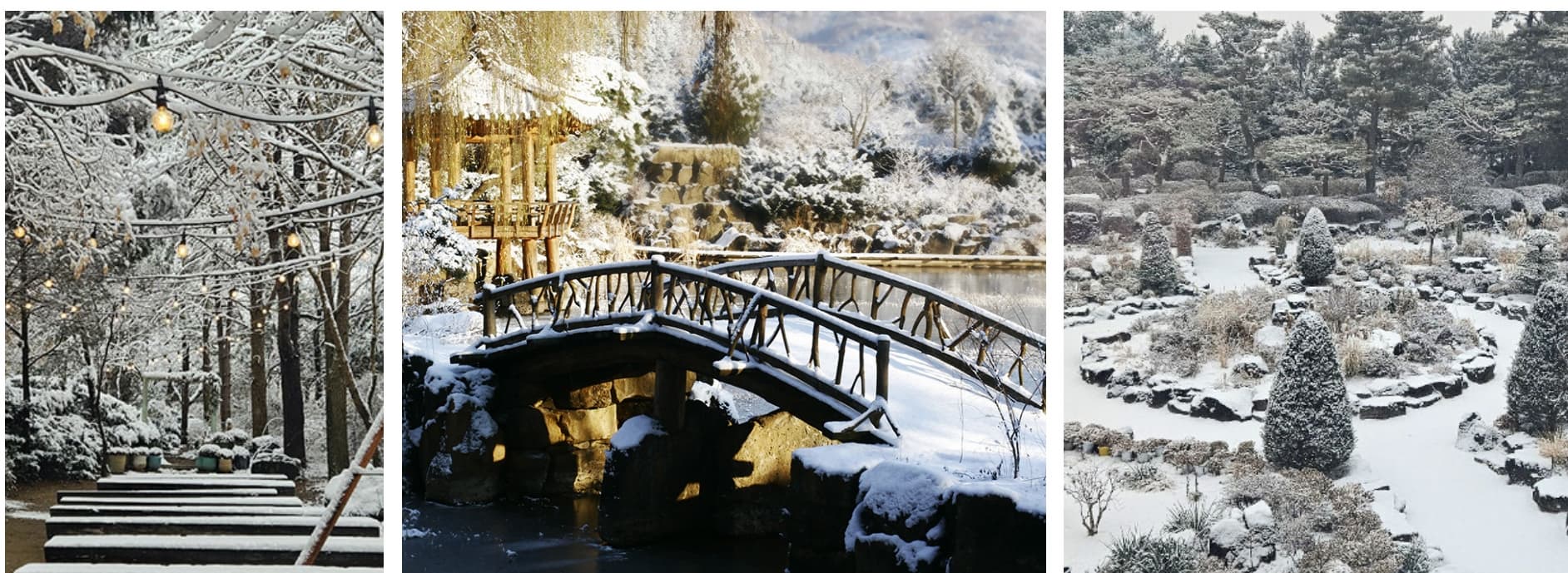 [서울 근교 여행] 경기도 파주 드라마 촬영지 사계절 내내 아름다운 벽초지수목원