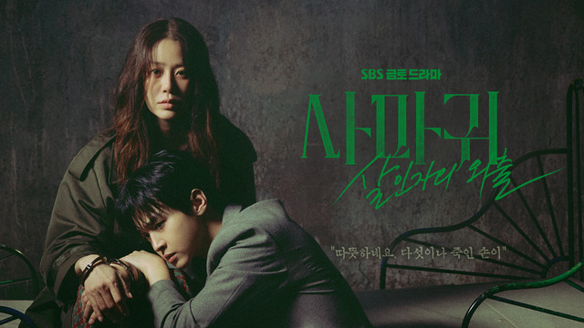 드라마 사마귀 : 살인자의 외출 포스터