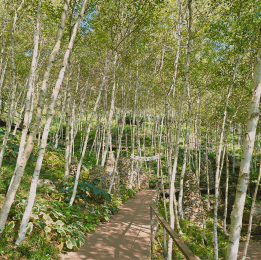 가을천 단풍여행 화담숲 화담채 모노레일 입장권 예약 방법 안내