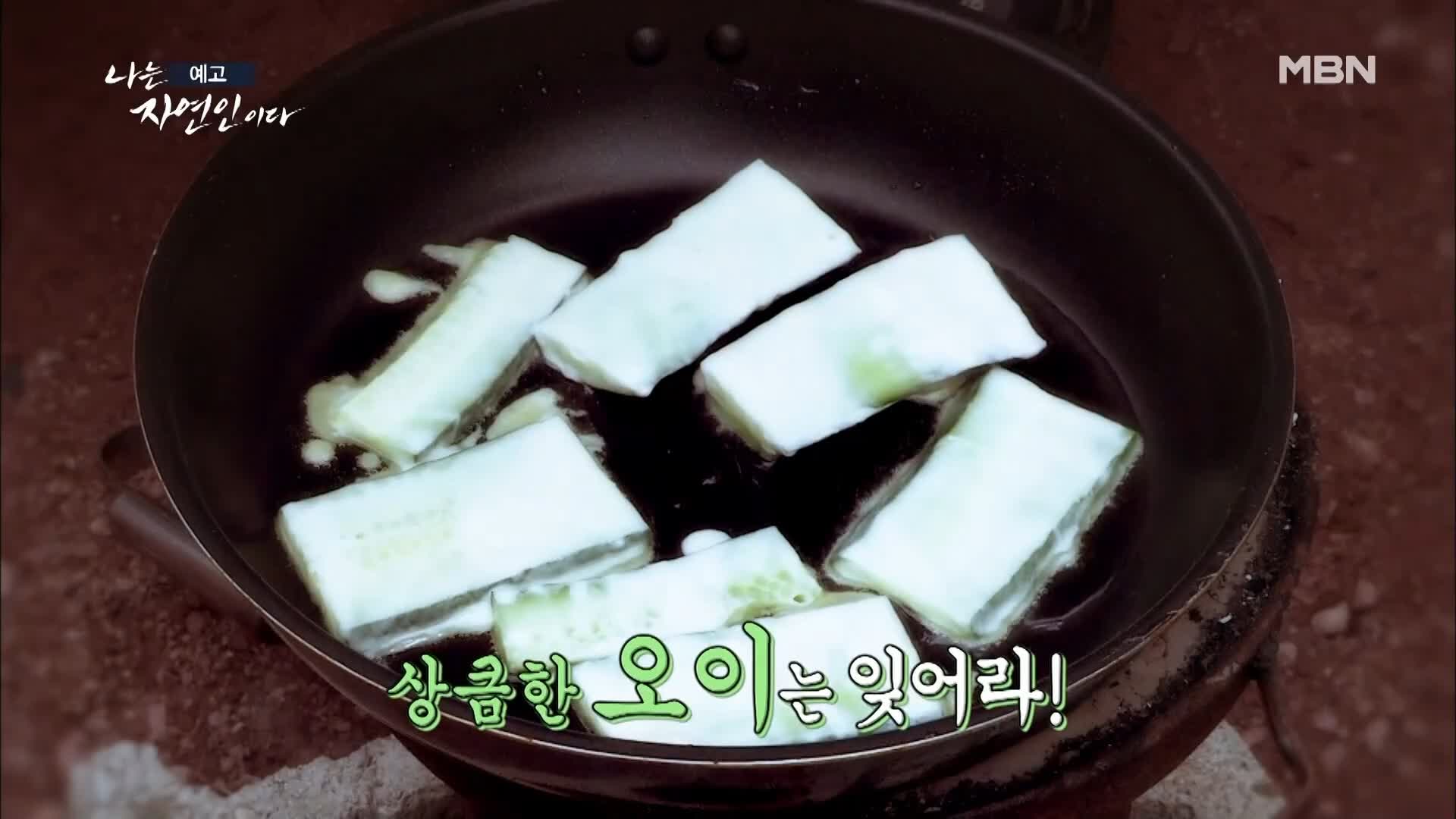 이승윤 윤택 나는 자연인이다 514회 제주 한라산 느림보 토끼로 삽니다! 자연인 안영글 소개 및 출연 다시보기