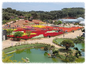 코리아플라워파크