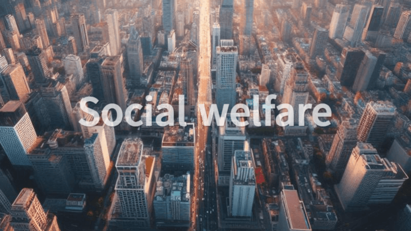 선진국의 사회복지정책