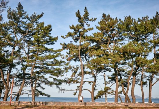 변산해수욕장