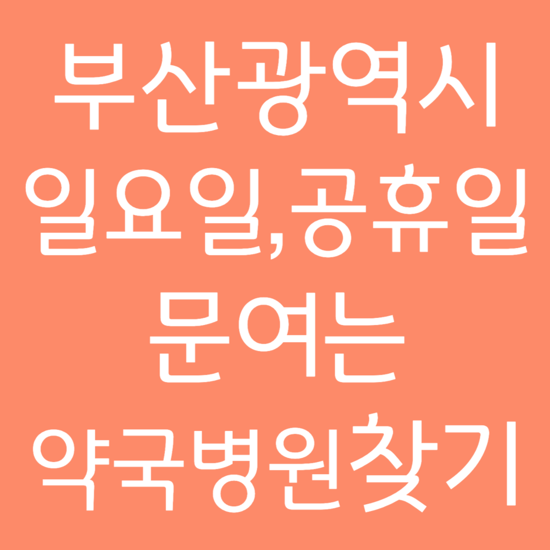 부산광역시 일요일, 공휴일 문여는 약국 병원 찾기