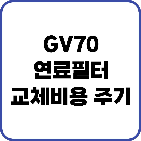 GV70 연료필터