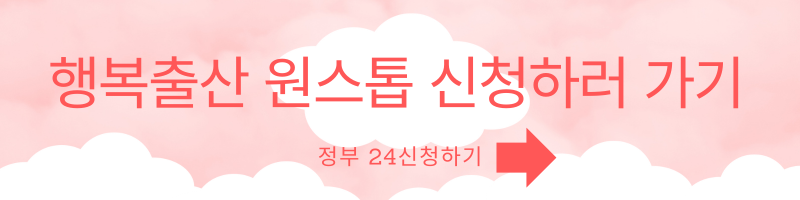 2024 임신 출산 지원 정책 신청