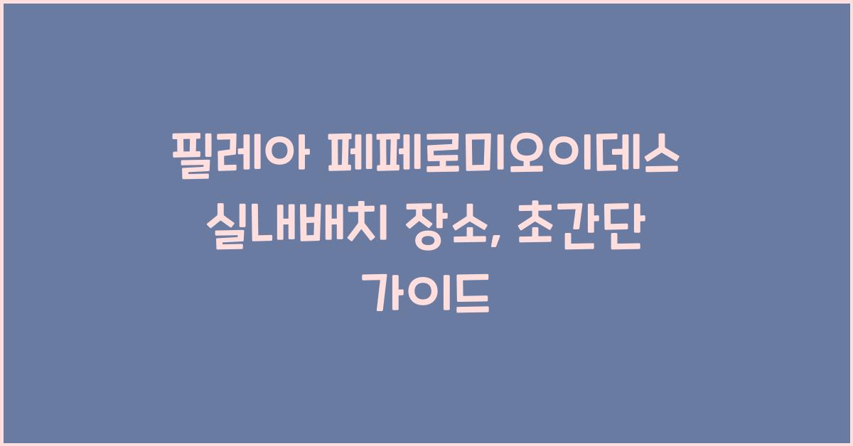 필레아 페페로미오이데스 실내배치 장소