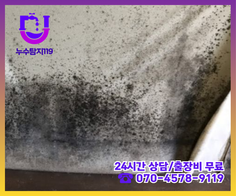 주교동 아파트 빌라 화장실 천장 누수2