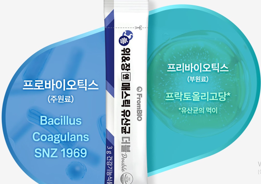 -매스틱-유산균