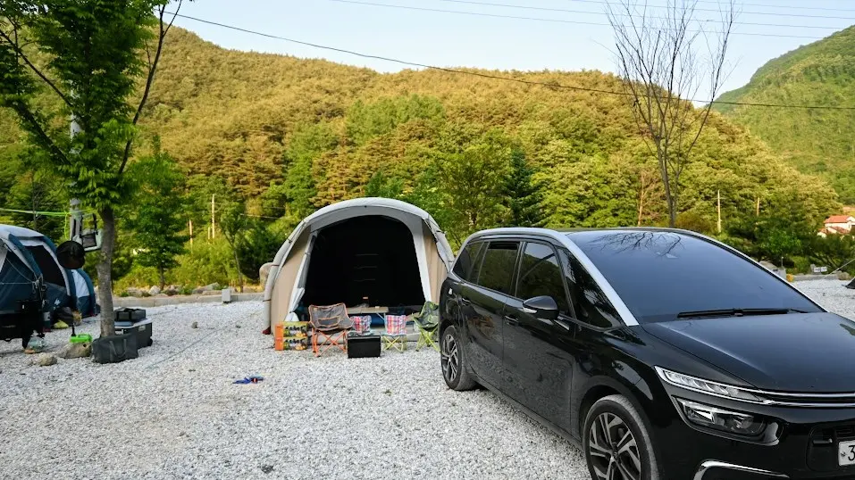정선 캠핑장 파인트리캠핑장 사진10