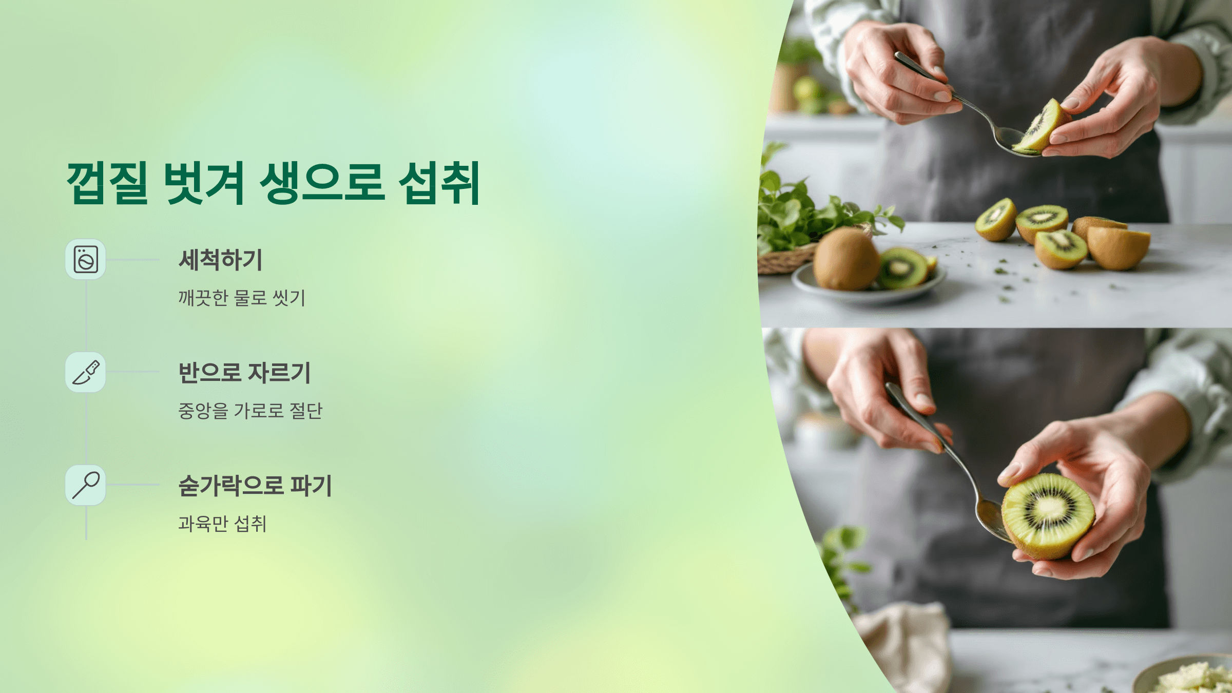 키위 사진입니다.