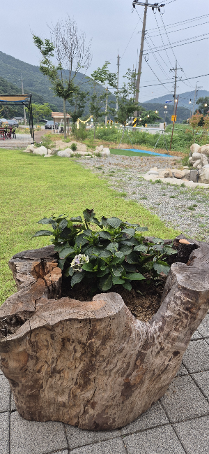 입구 전경