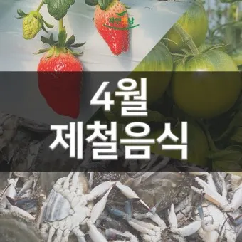 4월 제철음식 제철 생선 과일 채소 모음_7