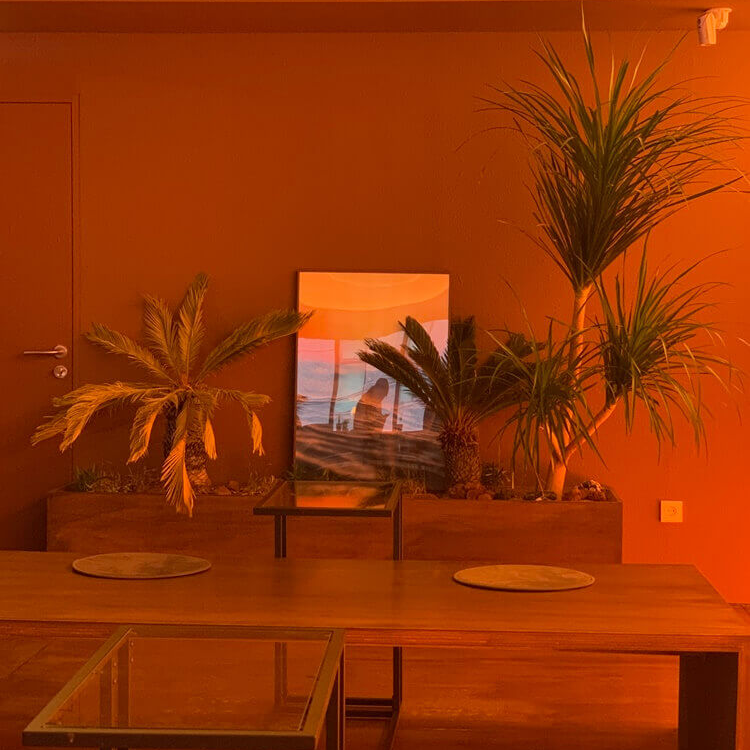 선셋 무드 액자와 식물들