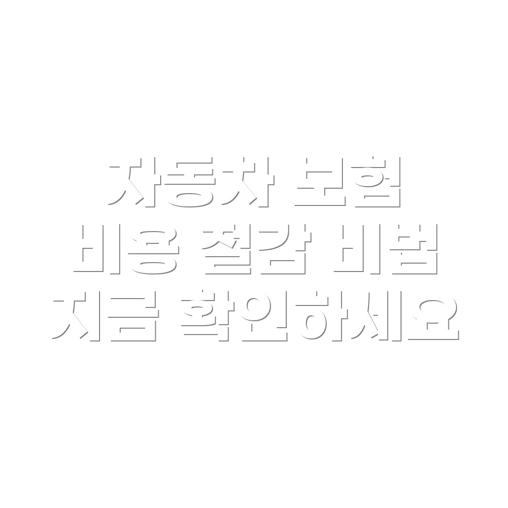 자동차 보험료 비교