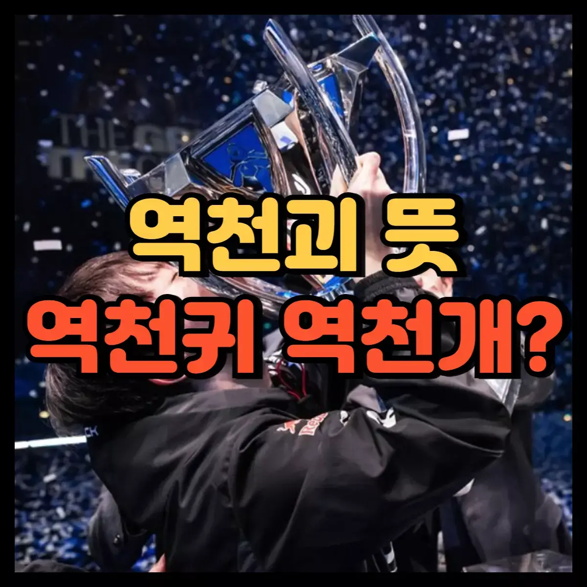 역천괴 뜻