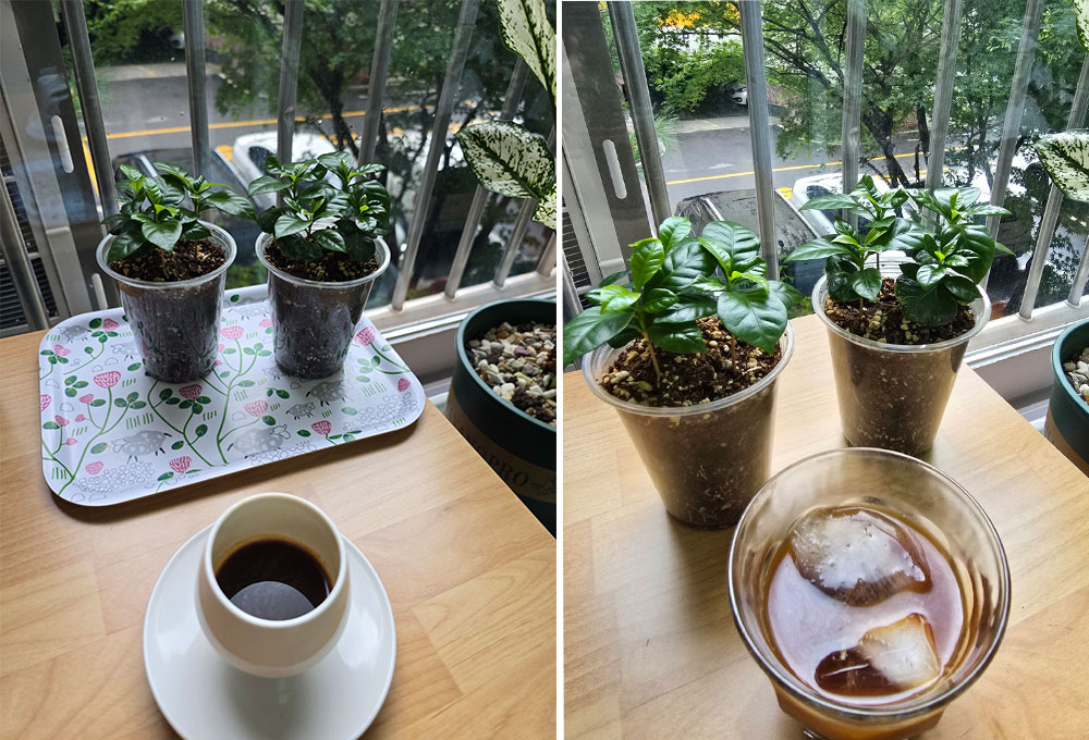 홈카페 에스프레소 &amp; 아이스 아메리카노