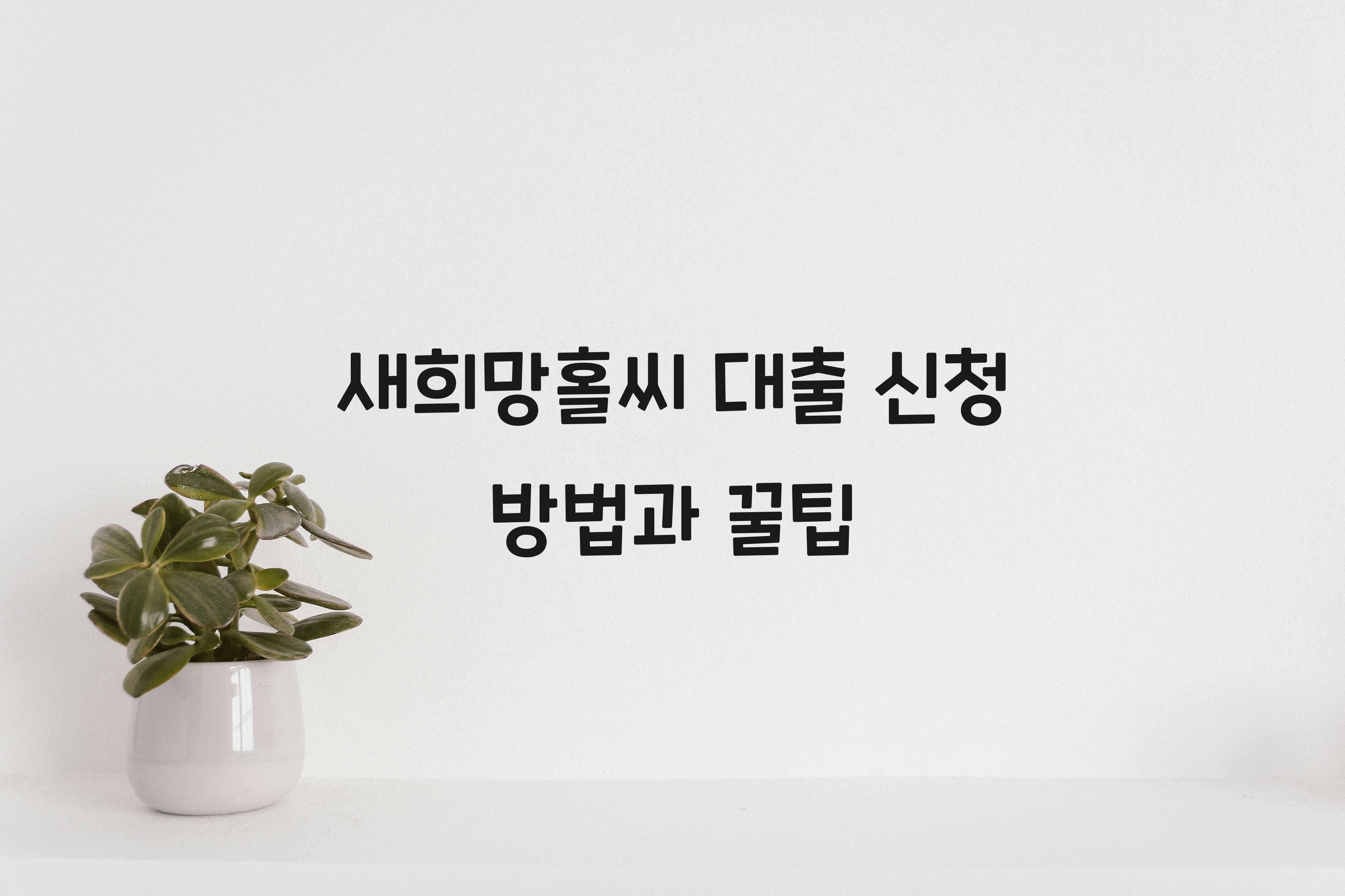 새희망홀씨 대출 신청