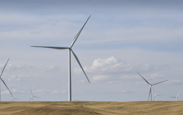 비트버니 오늘의 상식 퀴즈 정답 공개