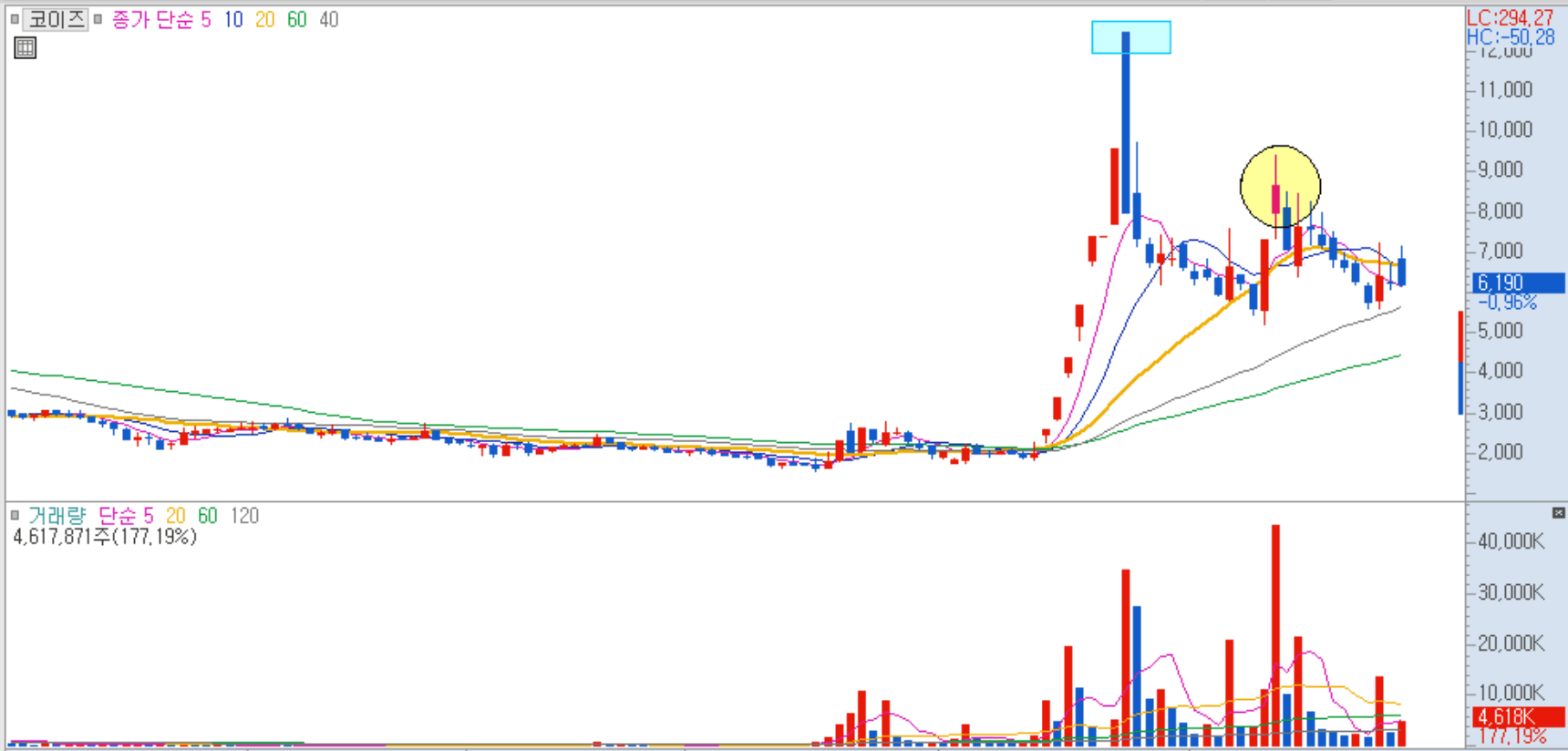 코이즈 일봉 차트
