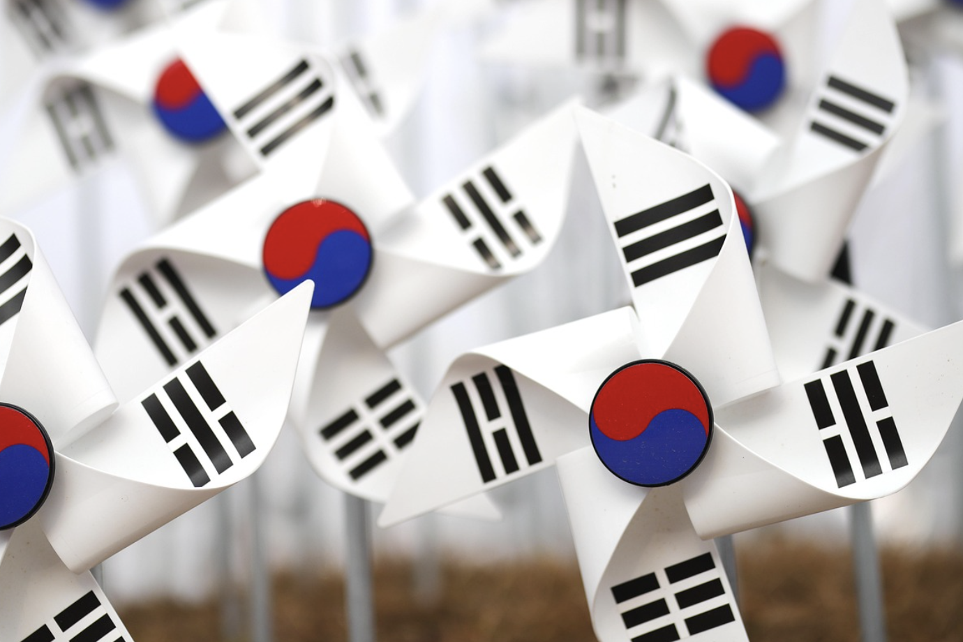 국가유공자 기준, 2025년 주요 혜택, 일상 생활 혜택