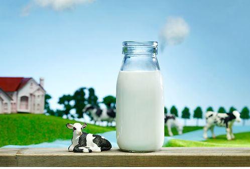 다이어트 보조제 순위