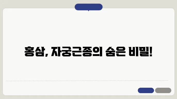 홍삼의 효능