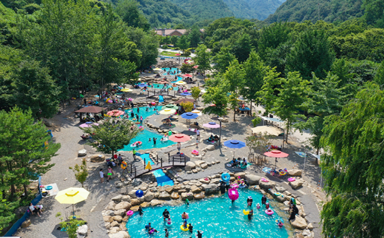 동해 무릉건강숲