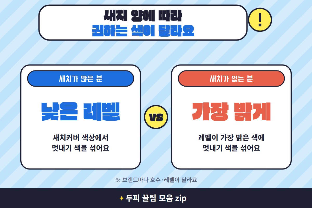 염색약 고르는 법 새치 염색약 고르는 법 새치 양별 추천 레벨 비교