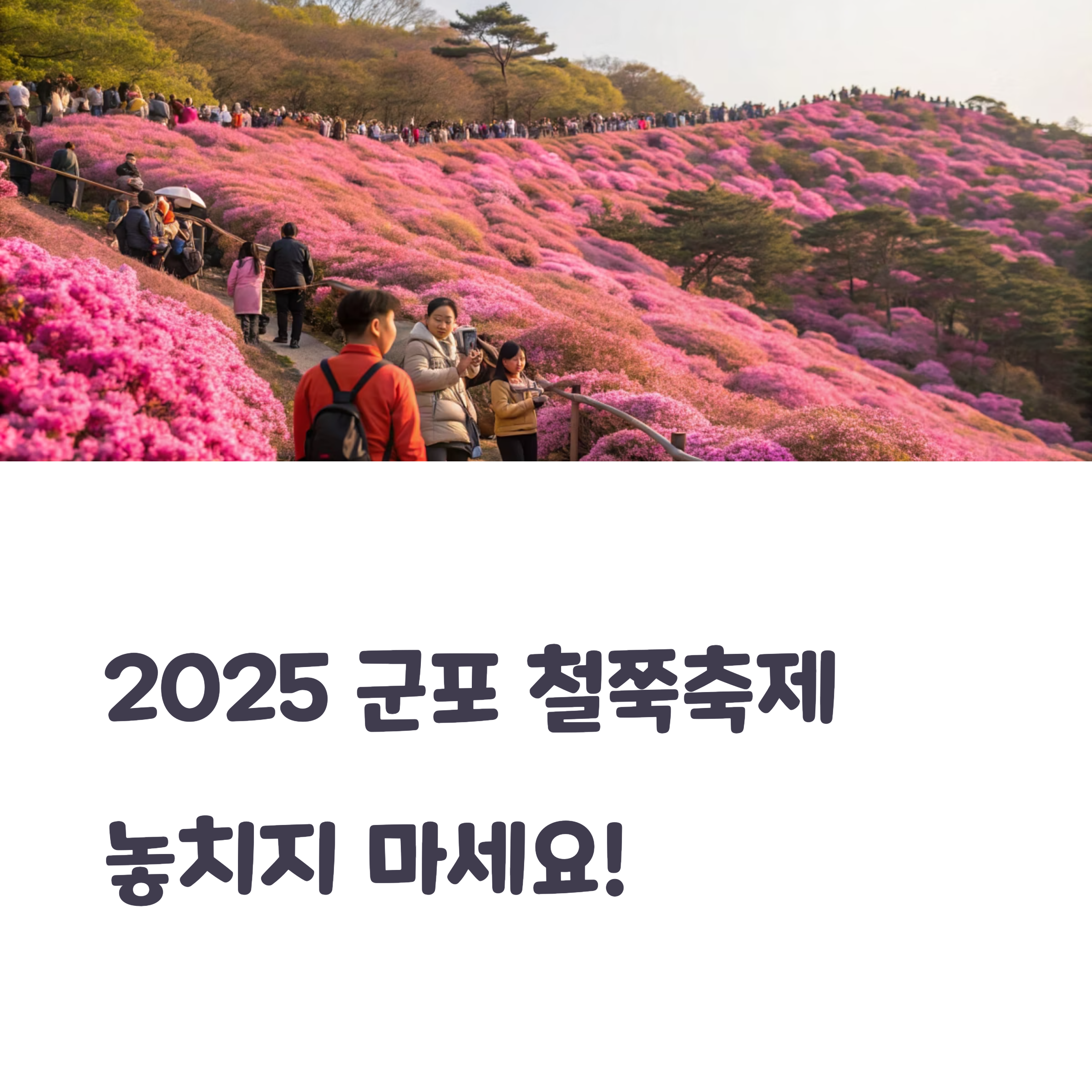 2025 군포 철쭉축제 가족 나들이