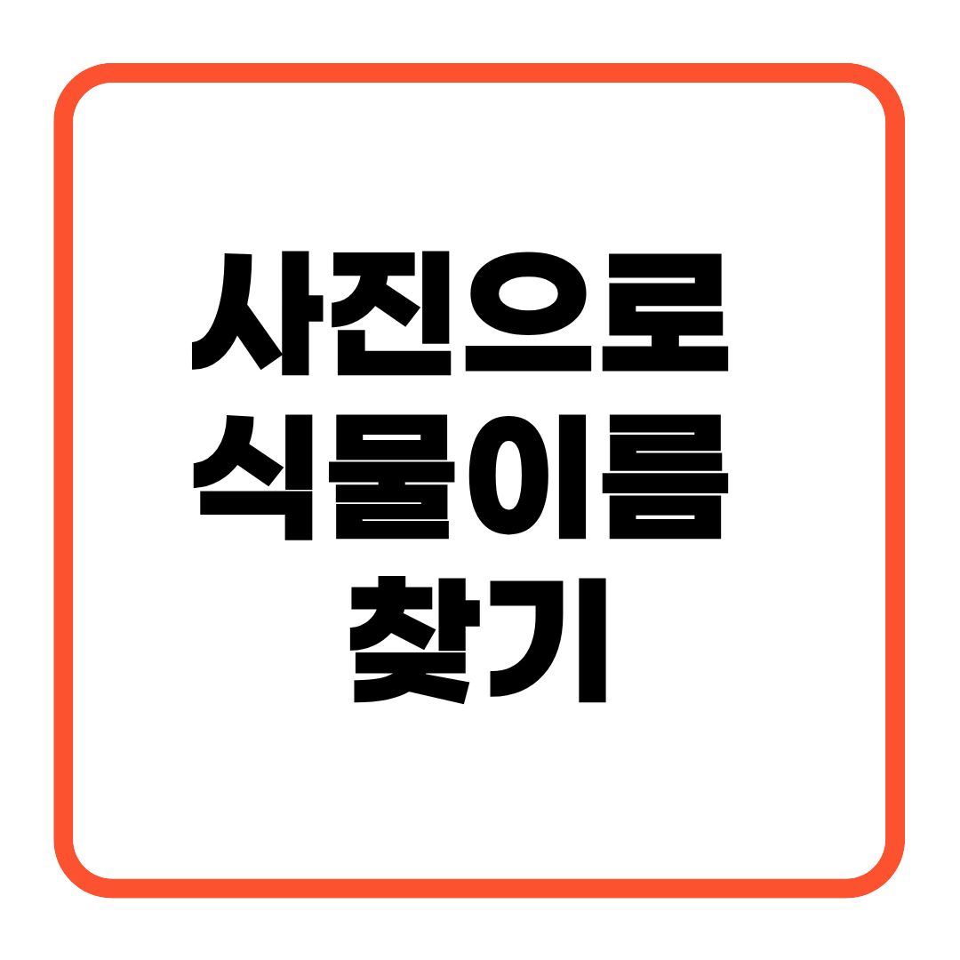 사진으로 식물이름 찾기
