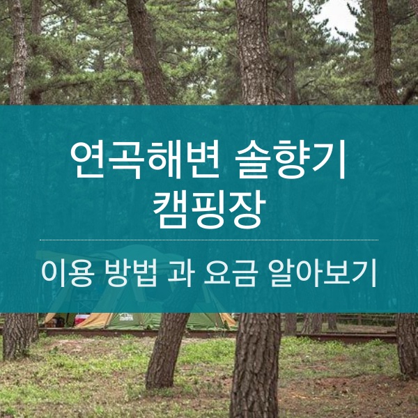 연곡해변 솔향기 캠핑장 이용 방법 및 요금 알아보기