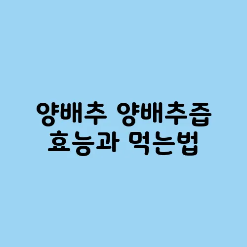 양배추 양배추즙 효능과 먹는법