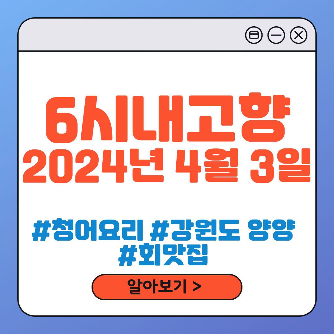 6시 내고향 청어요리 맛집