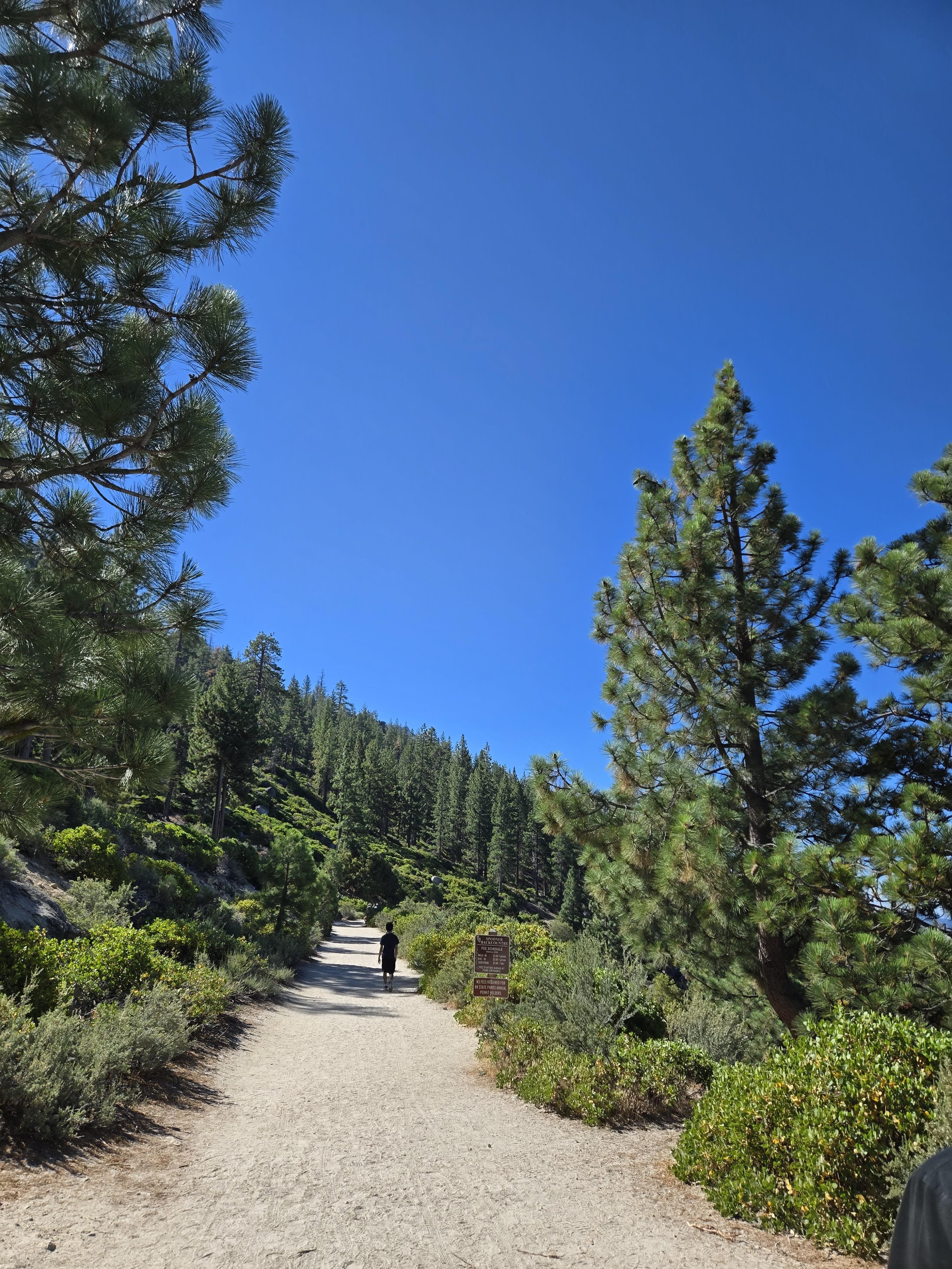🌲 가족과 함께 떠난 타호레이크 1박 2일 여행기 2&amp;#44; 둘째날 (Family Trip to Lake Tahoe) 관련사진