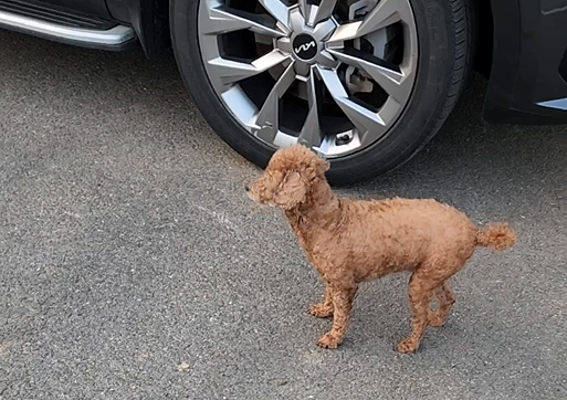 Alt 속성 문제 해결 설명 이미지