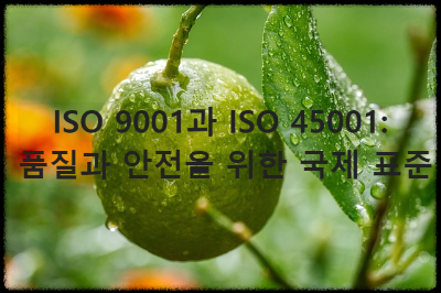 ISO 9001과 ISO 45001