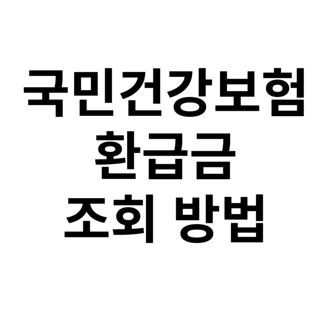 국민건강보험 환급금 조회 사진