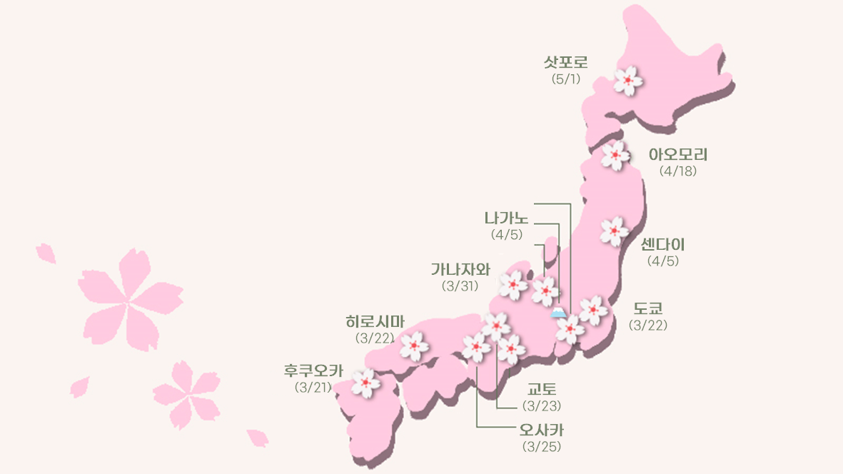 2024 일본 벚꽃 여행 · 축제 · 명소 추천