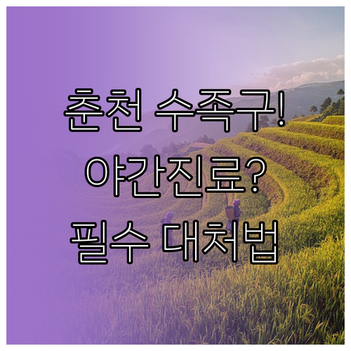 춘천 지역 수족구 대처법과 야간 진료..
