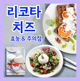 리코타 치즈 효능과 다이어트 섭취시 주의점