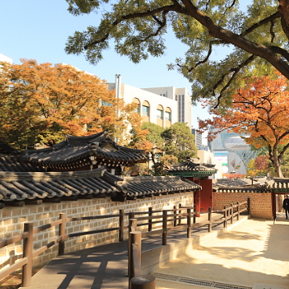 덕수궁 돌담길