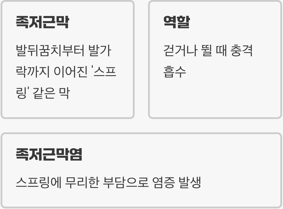 내 발바닥의 '스프링'이 보내는 비명