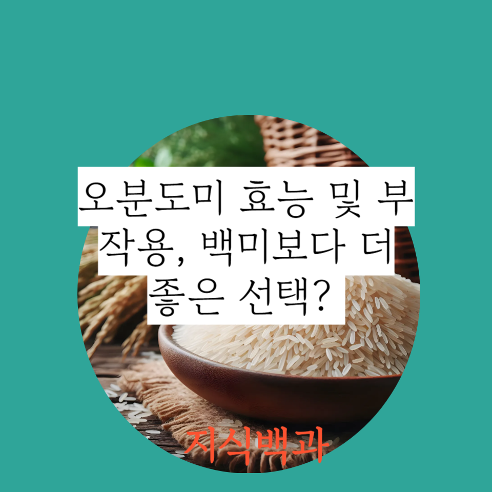 오분도미 효능 및 부작용, 백미보다 더 좋은 선택?