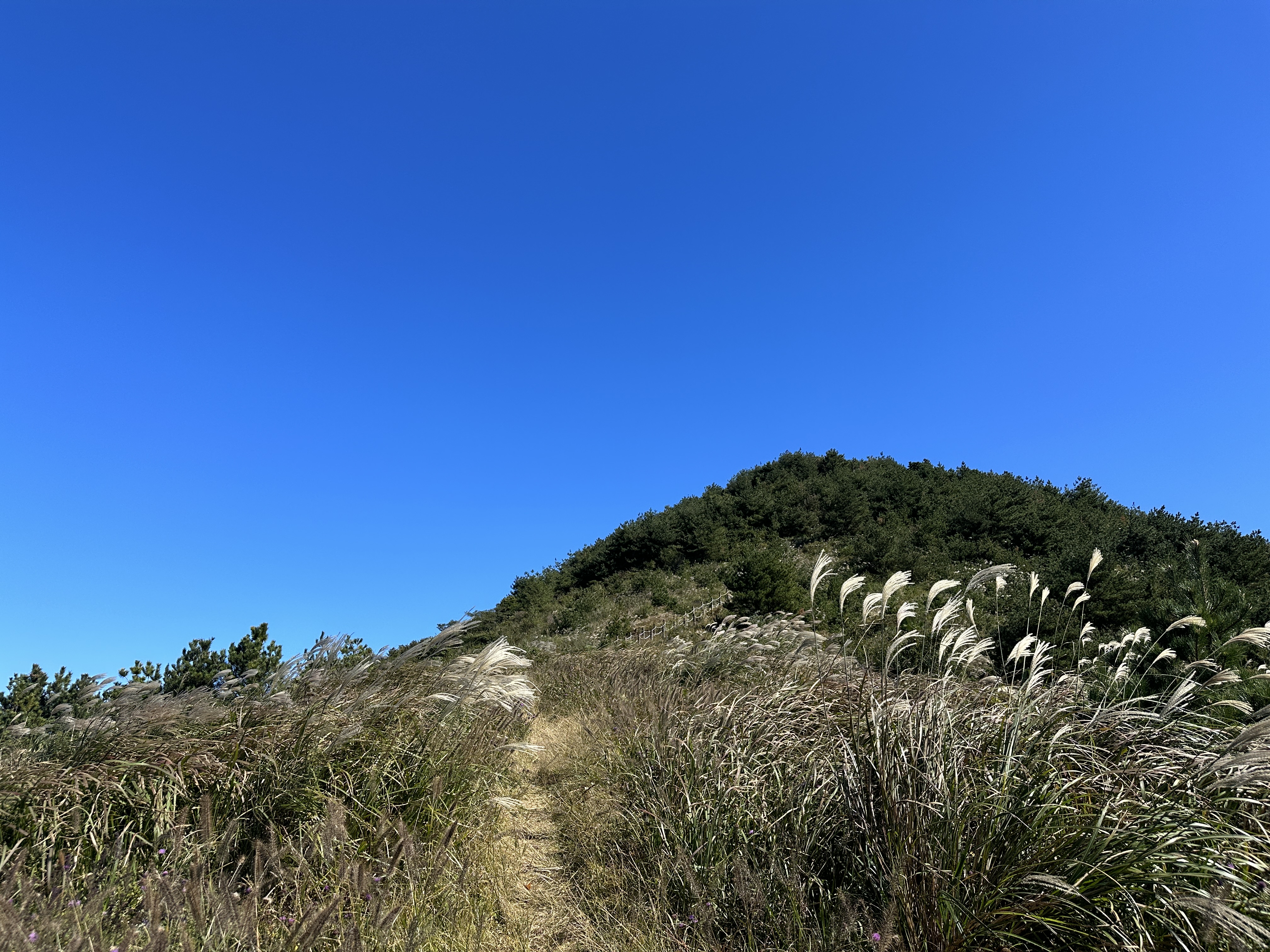 동검은이오름/ 동거문오름 탐방로