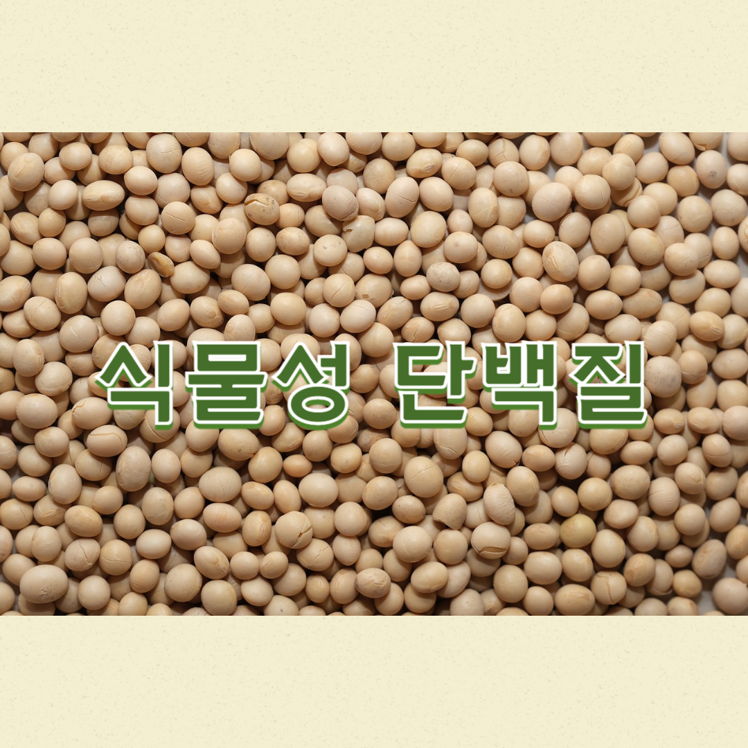 식물성 단백질: 건강과 환경을 고려한 선택