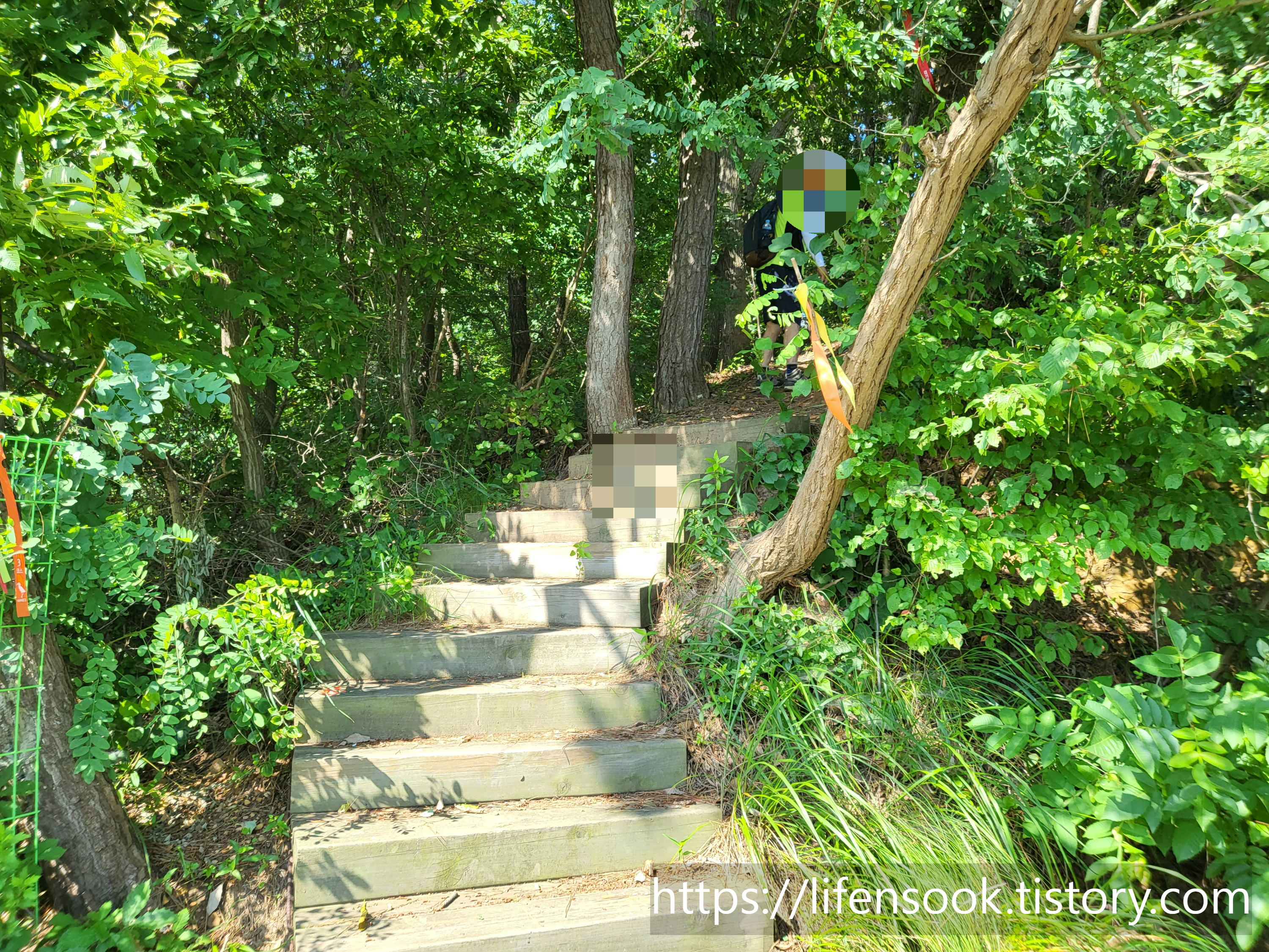 대부해솔길 3코스 산길