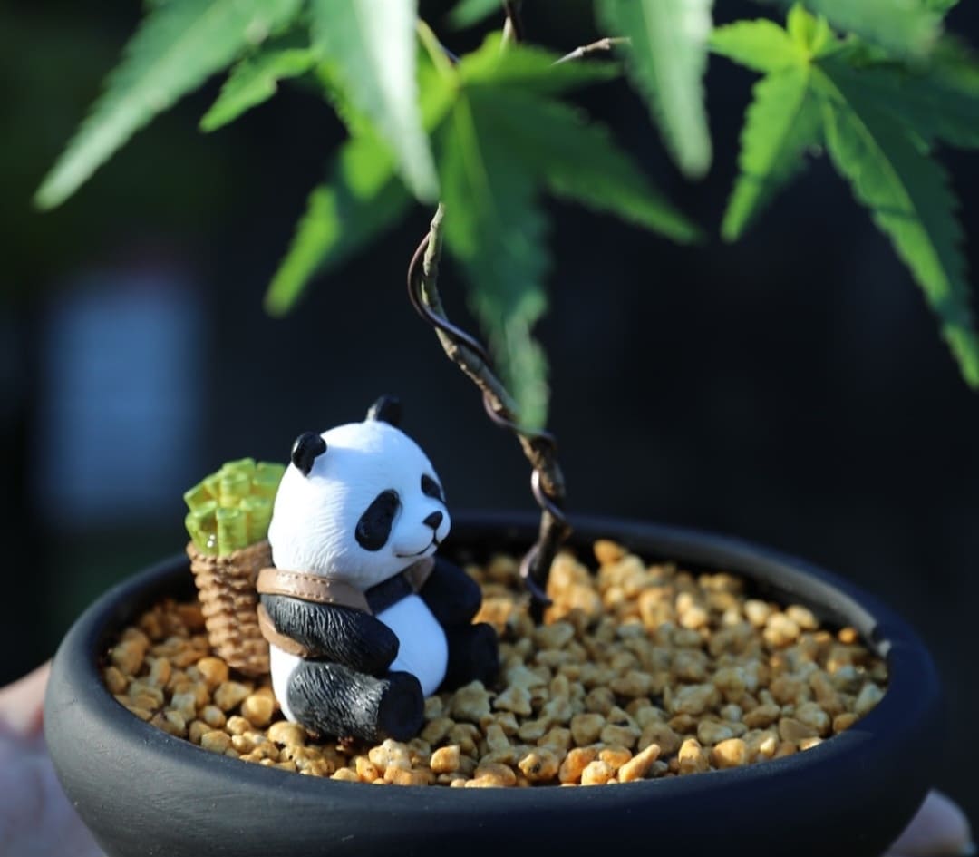 광양매화축제 주차장&amp;#44; 맛집&amp;#44; 입장료