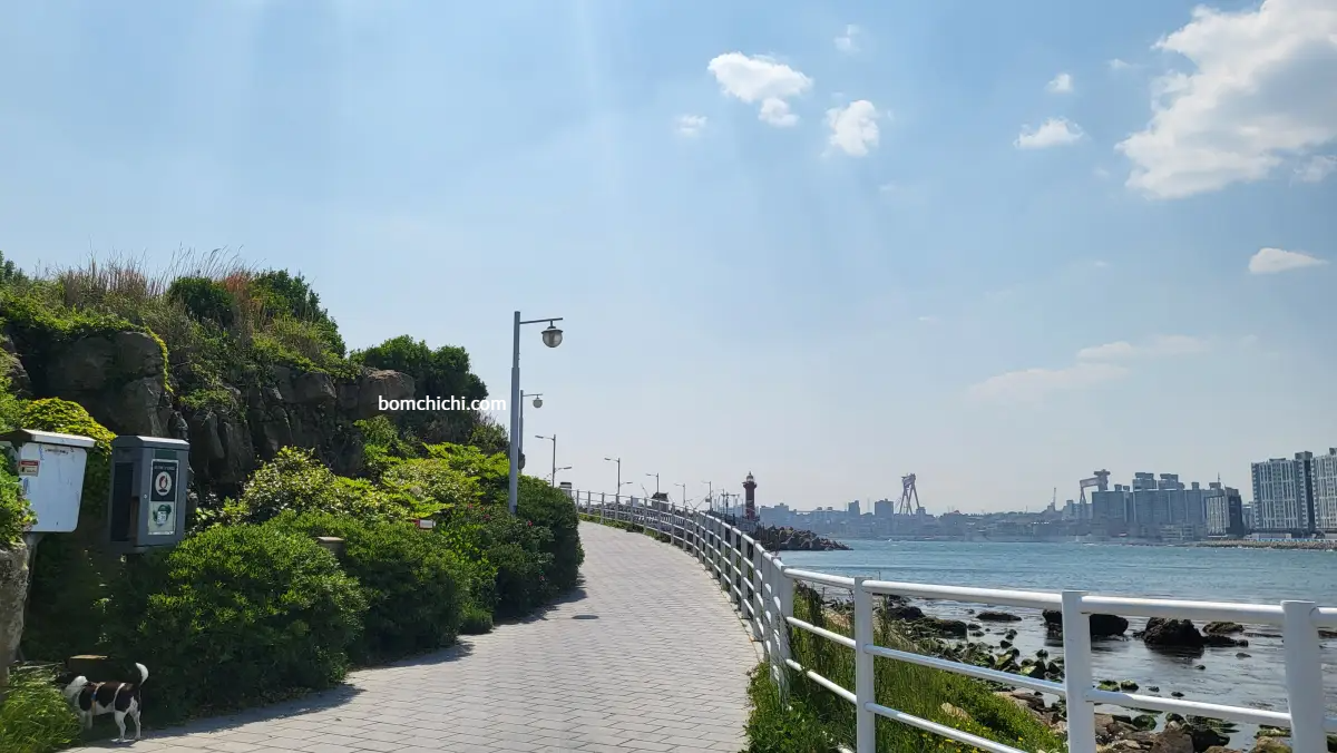 슬도 등대에서 바라본 산책로