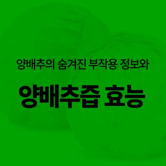 양배추즙 효능 위 건강